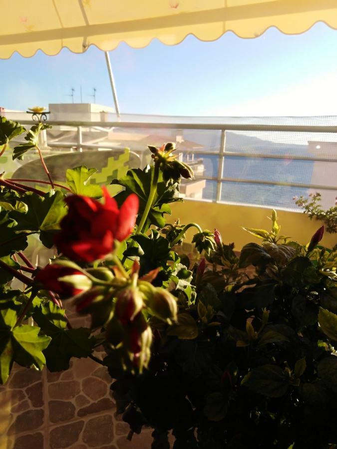 Down Town Luxury Apartment Sarandë Eksteriør bilde